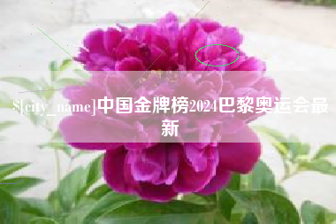防城港中国金牌榜2024巴黎奥运会最新
