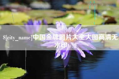 防城港中国金牌图片大全大图高清无水印