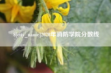防城港2020年消防学院分数线