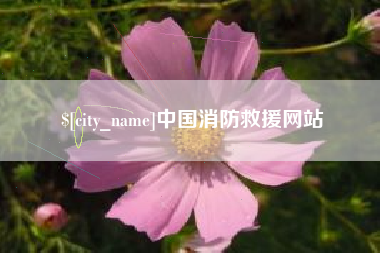 防城港中国消防救援网站