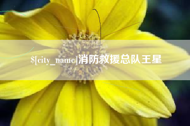 防城港消防救援总队王星