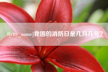 防城港我国的消防日是几月几号？