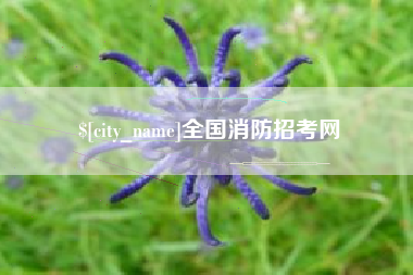 防城港全国消防招考网