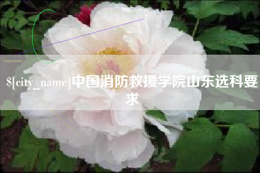 防城港中国消防救援学院山东选科要求