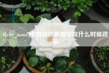 防城港中国消防救援学院什么时候政审