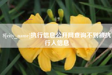 防城港执行信息公开网查询不到被执行人信息