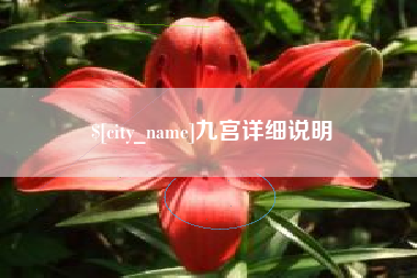 防城港九宫详细说明