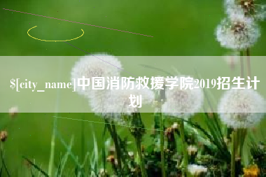 防城港中国消防救援学院2019招生计划