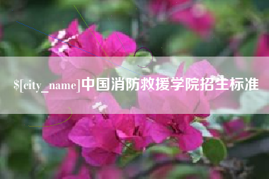 防城港中国消防救援学院招生标准