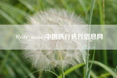 防城港中国执行执行信息网
