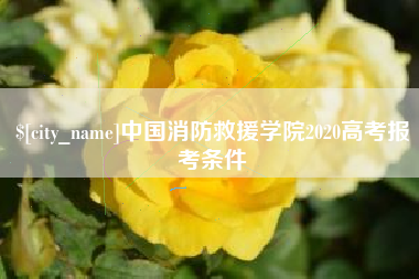 防城港中国消防救援学院2020高考报考条件