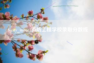 防城港消防工程学校录取分数线