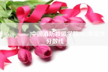 防城港中国消防救援学院2021年招生分数线