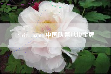 防城港中国队第八块金牌