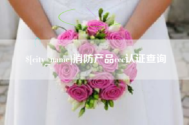 防城港消防产品ccc认证查询