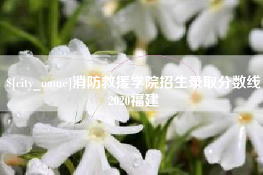 防城港消防救援学院招生录取分数线2020福建
