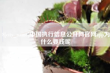 防城港中国执行信息公开网官网app为什么要钱呢