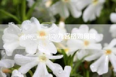 防城港579九宫格如何排