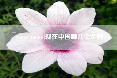 防城港现在中国哪几个金牌