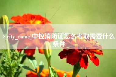 防城港中控消防证怎么考取需要什么条件