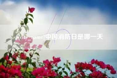 防城港中国消防日是哪一天