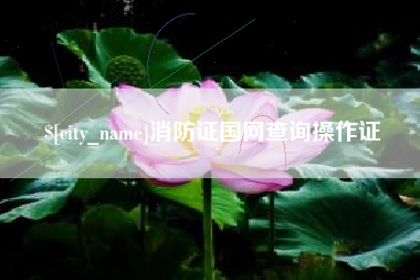 防城港消防证国网查询操作证