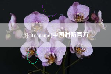 防城港中国消防官方