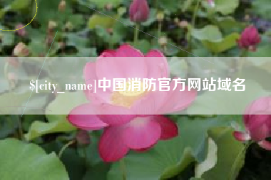 防城港中国消防官方网站域名