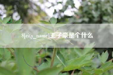 防城港王子豪是个什么