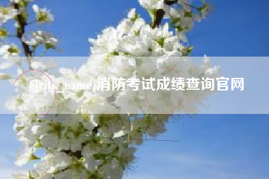防城港消防考试成绩查询官网
