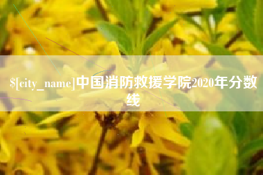 防城港中国消防救援学院2020年分数线