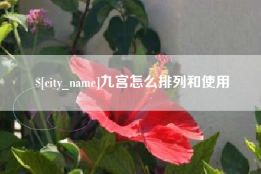 防城港九宫怎么排列和使用