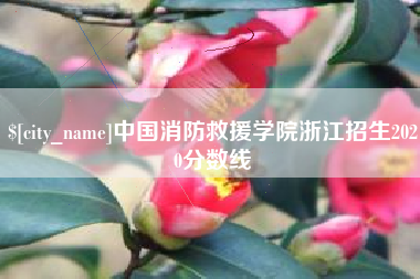 防城港中国消防救援学院浙江招生2020分数线