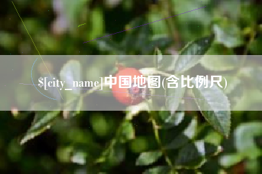 防城港中国地图(含比例尺)