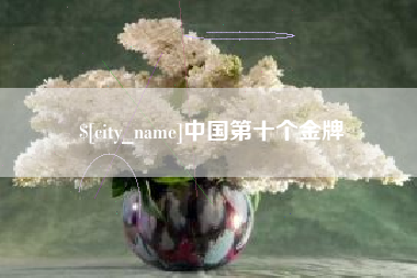防城港中国第十个金牌