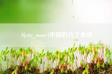 防城港中国的几个金牌