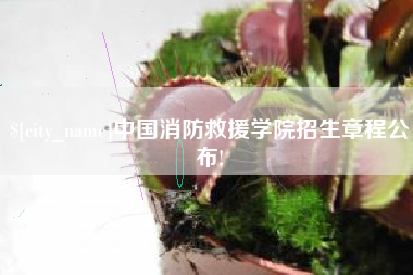 防城港中国消防救援学院招生章程公布!