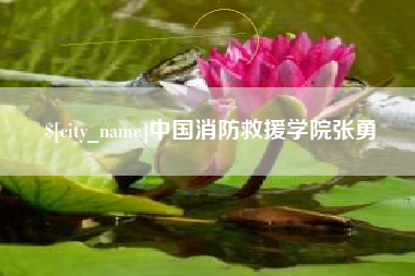 防城港中国消防救援学院张勇