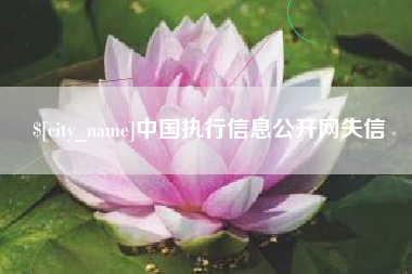 防城港中国执行信息公开网失信