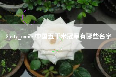 防城港中国五千米冠军有哪些名字