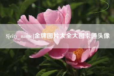 防城港金牌图片大全大图卡通头像