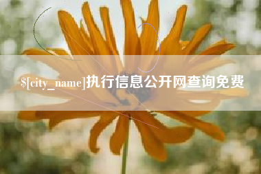 防城港执行信息公开网查询免费