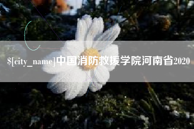 防城港中国消防救援学院河南省2020